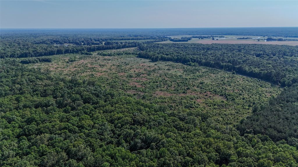 Cr 4621 County Road 4621, Clarksville