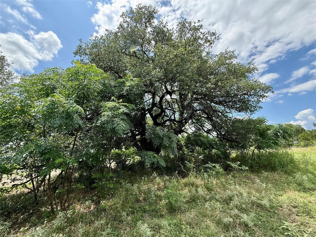 731 Santa Maria Road, Salado