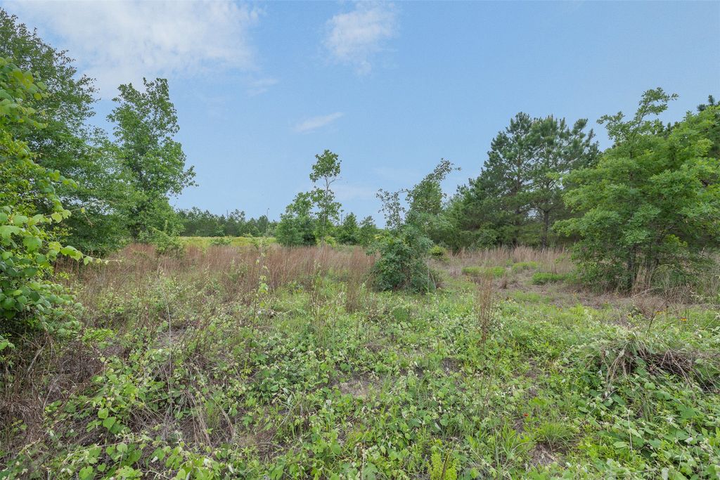 Tbd Lot 20c County Road, Bastrop