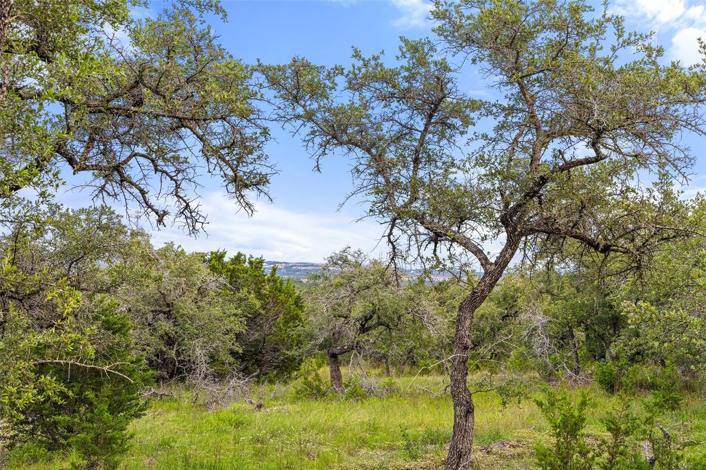 31860 Mirela Ann Road, Dripping Springs