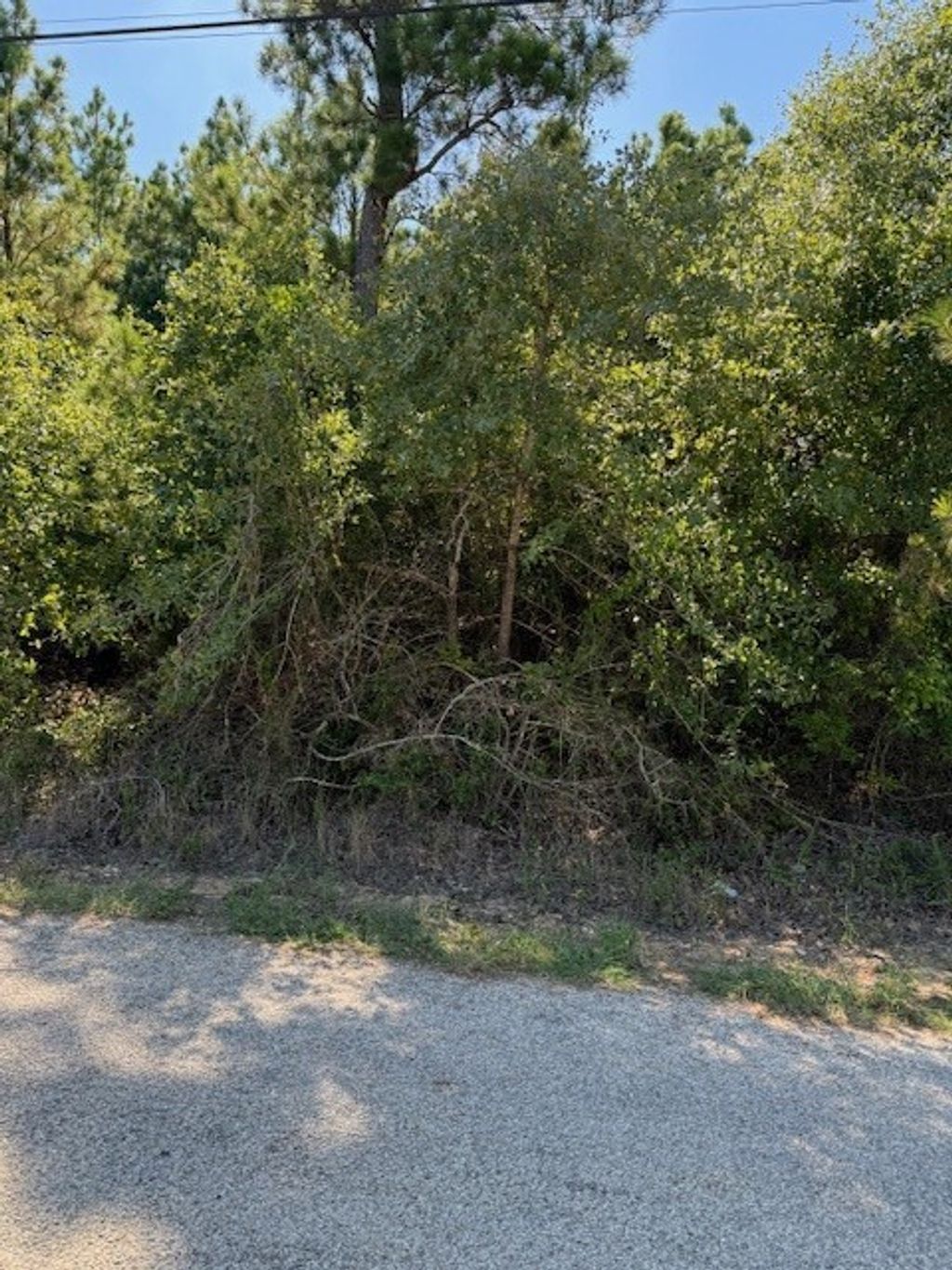 Lot 1355 N Kaupo Drive, Bastrop