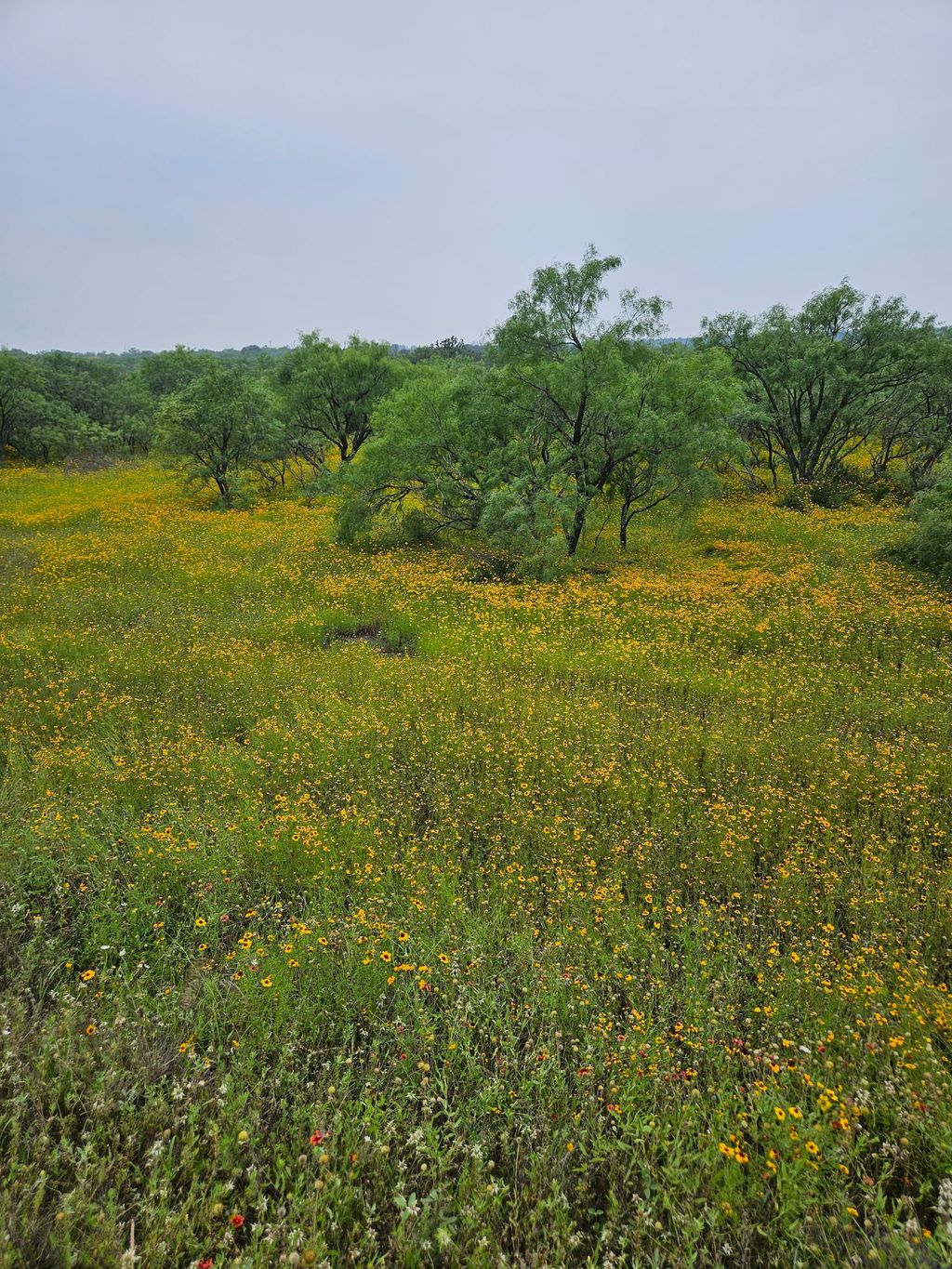 6990 County Road 246, Richland Springs