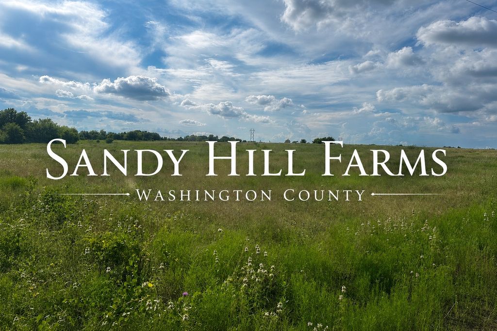 Tract 1 Randermann Rd, Brenham