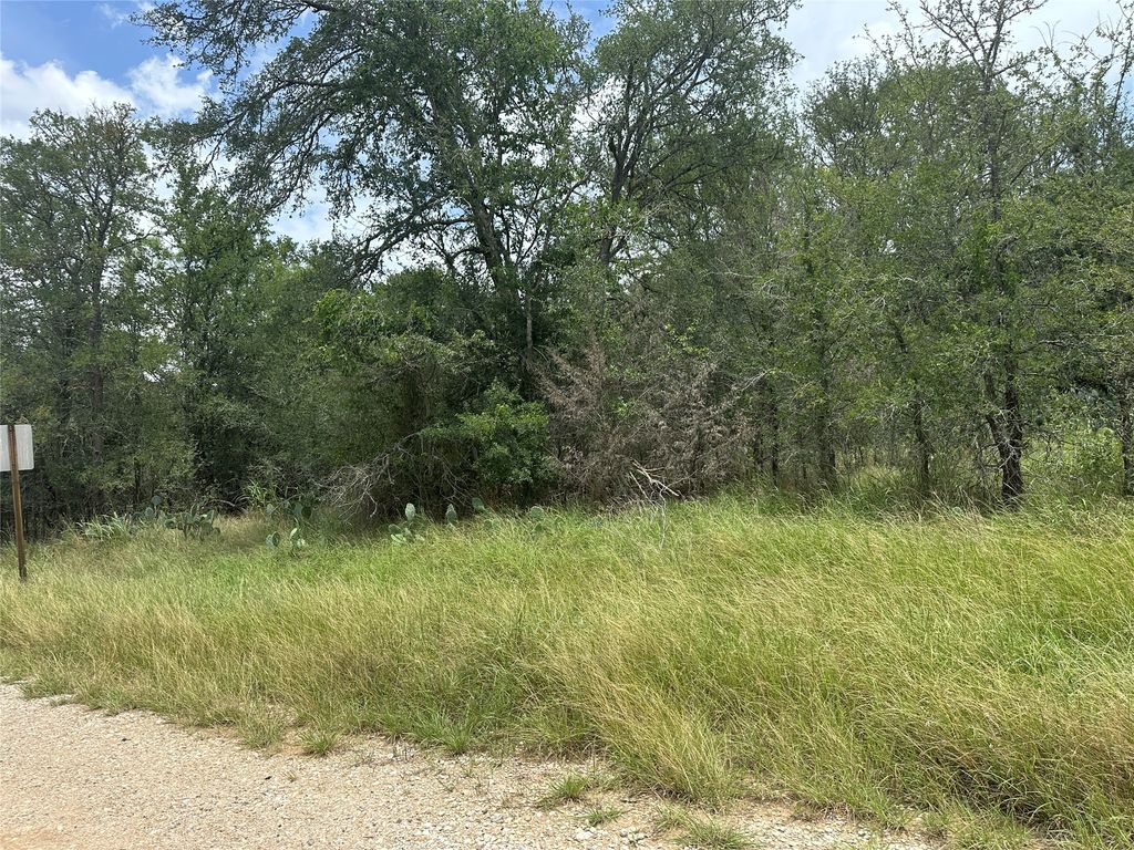 189 Puu Waa Waa Lane, Bastrop
