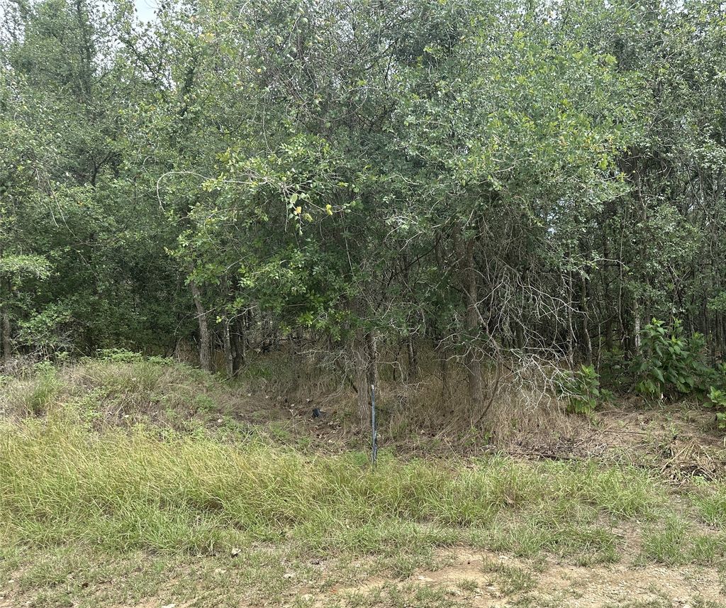107 Halawa Court, Bastrop