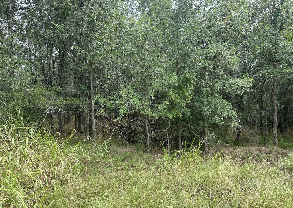 109 Halawa Court, Bastrop