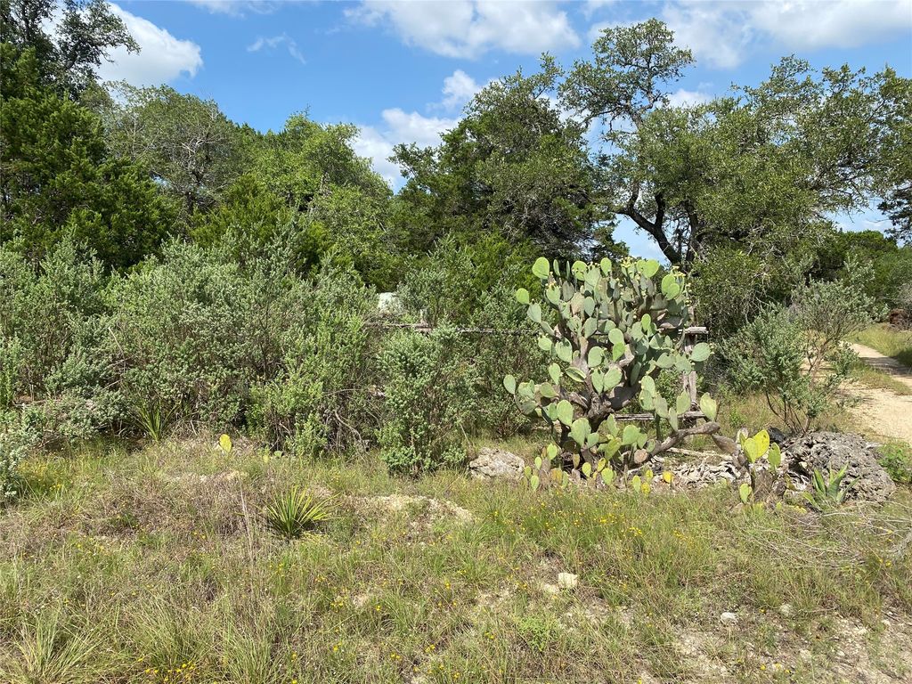 Tbd Oak Meadow Lot #35 Lane, Wimberley