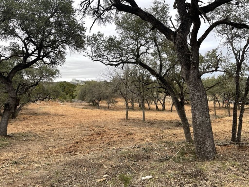 19716 Thurman Bend Road, Spicewood