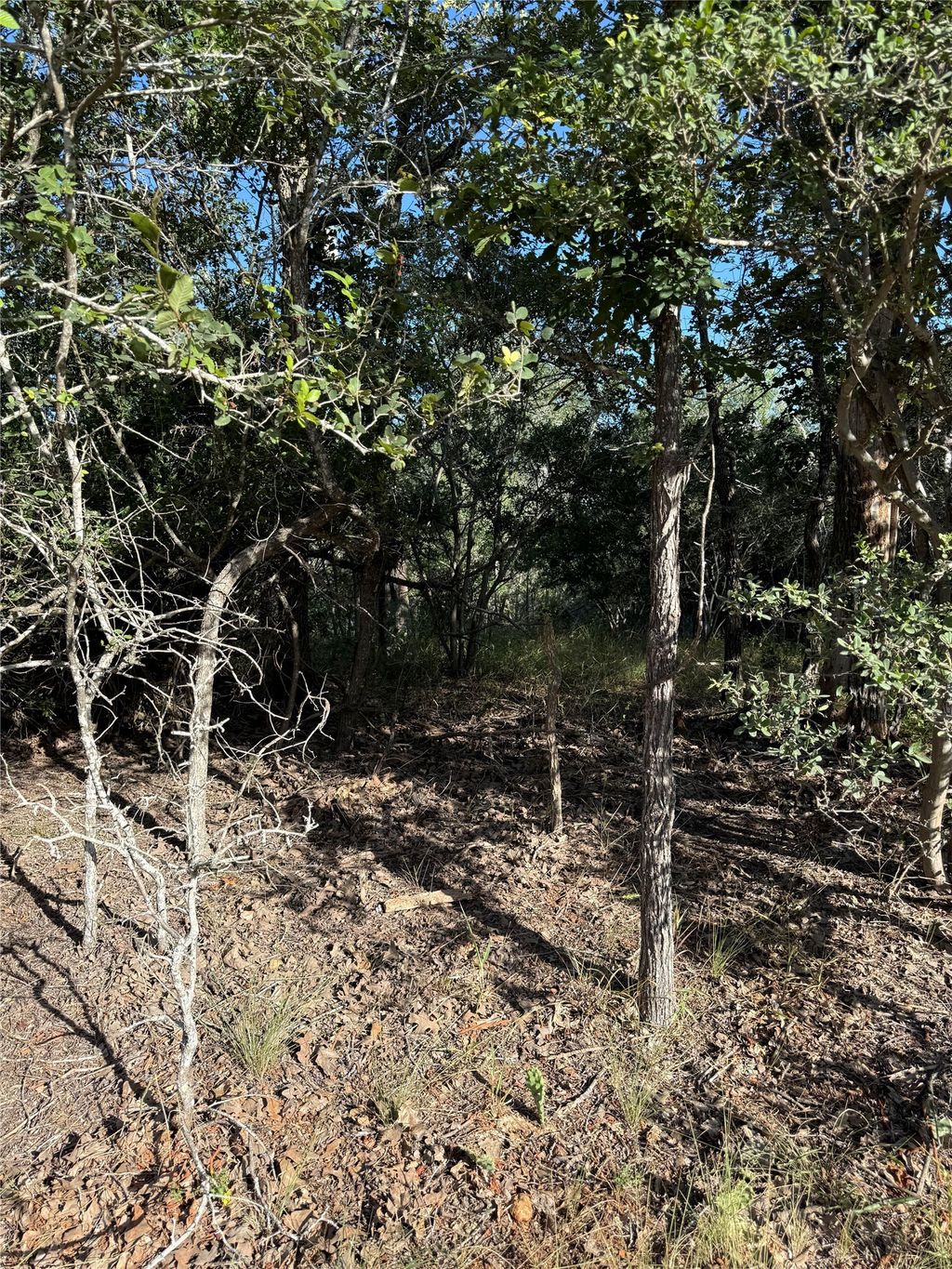 152 Helemano Drive, Bastrop