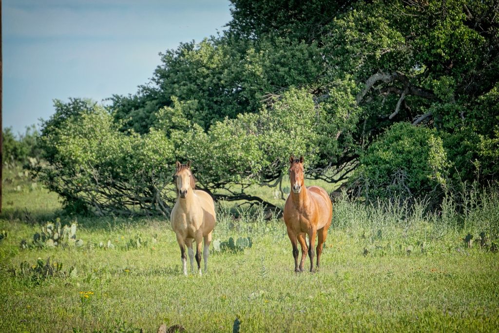 Lot 200 Swamp Creek Cove, Burnet