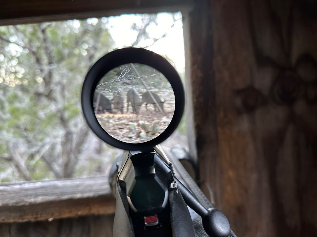 00 Park Road, Lampasas