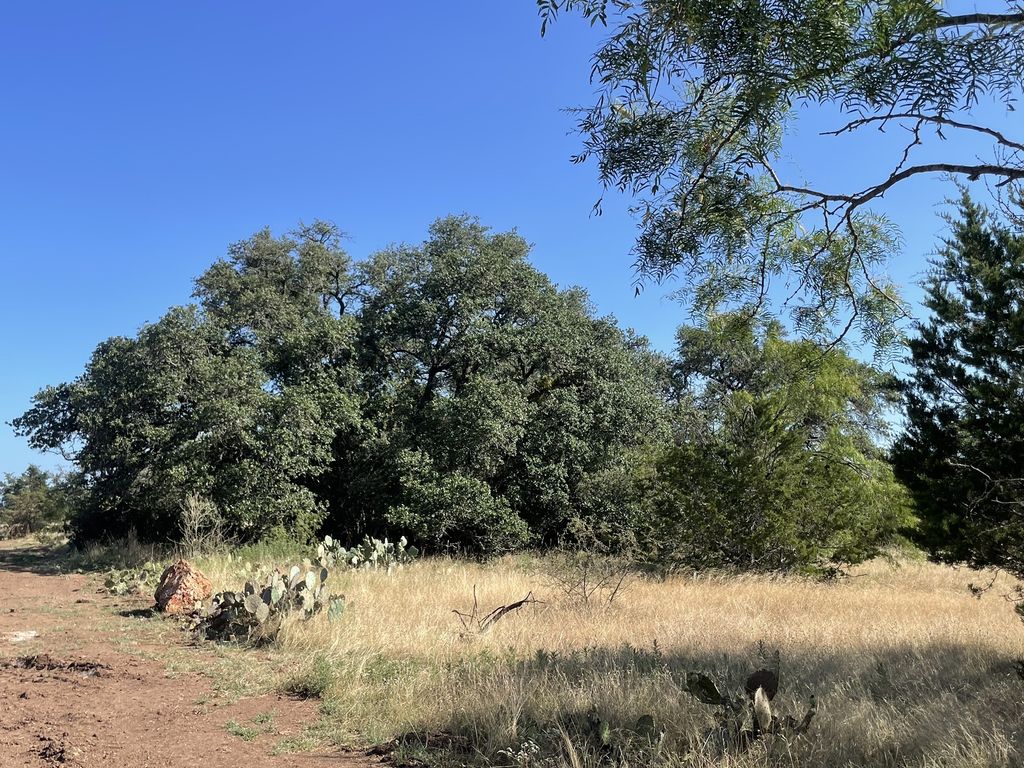 Lot 180 Swamp Creek Cove, Burnet