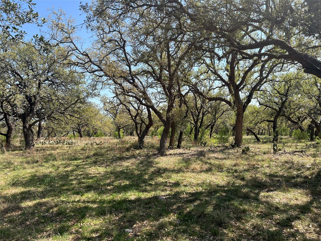 Lot 43 Waterbuck Way, Lampasas