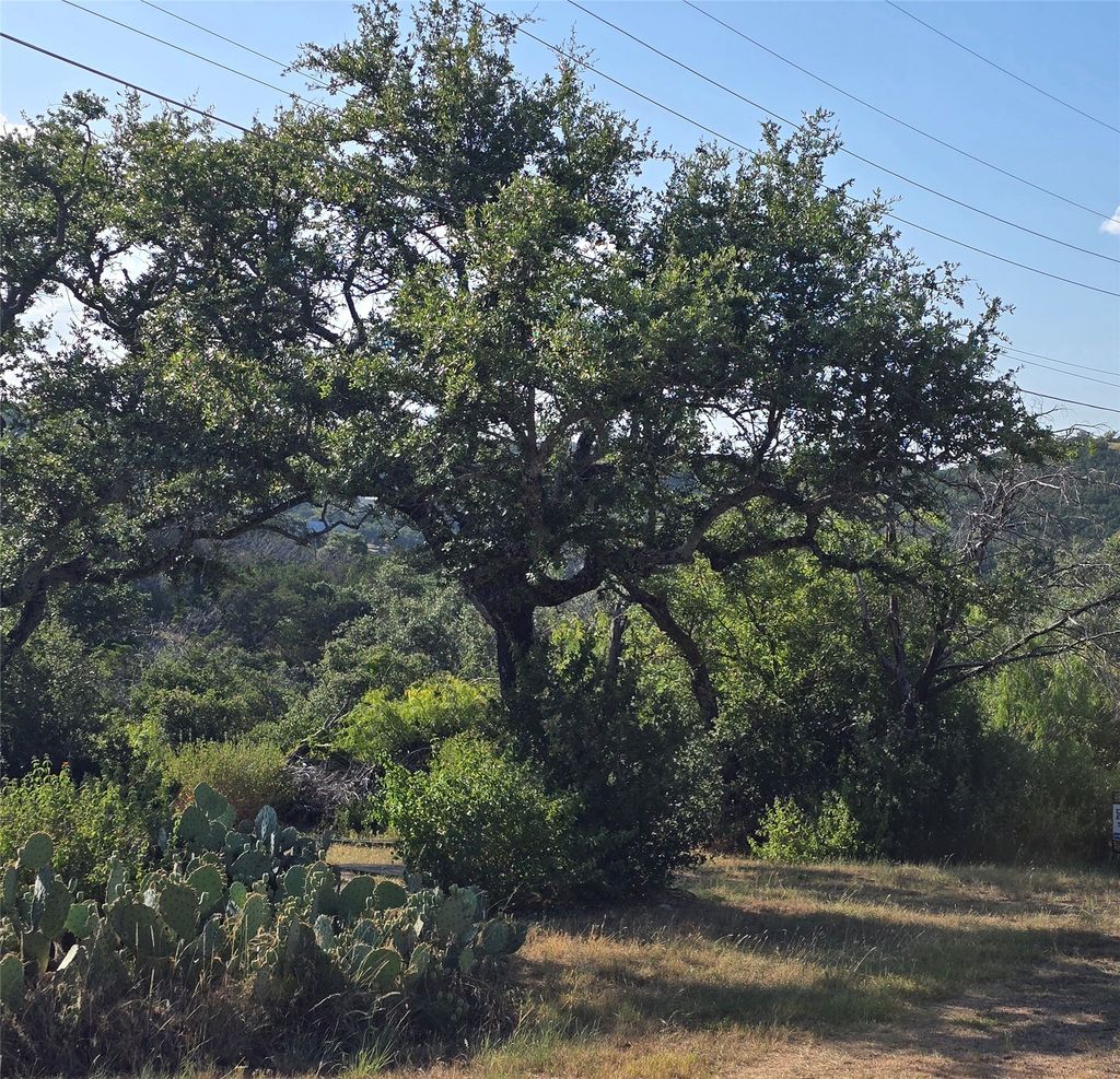 Tbd Elm Road, Burnet