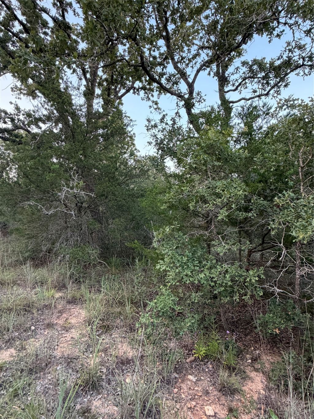 Lot 4 Spruce Street, Paige