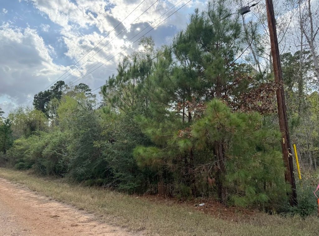 Lot 233 Makaha Drive, Bastrop
