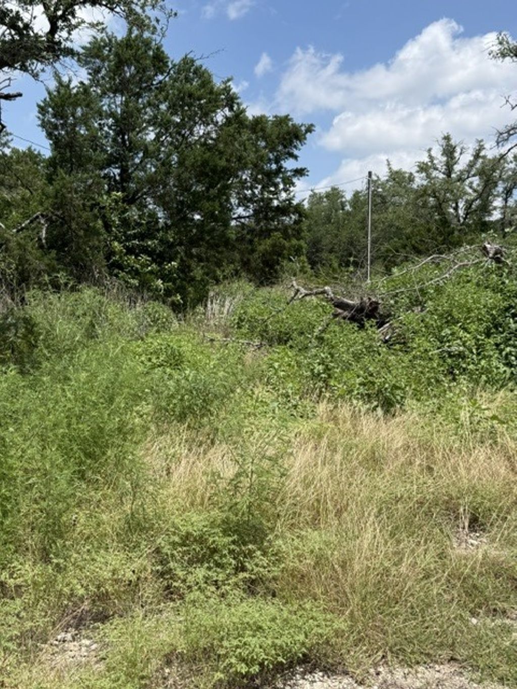 25402 Fawn Drive, Leander