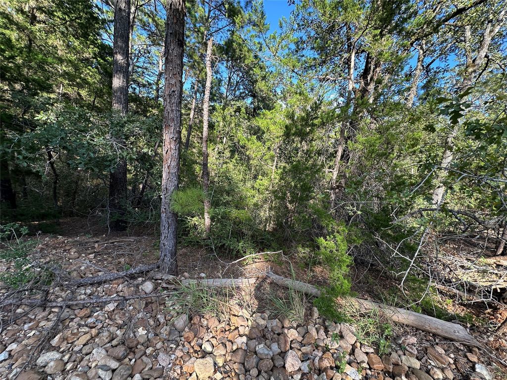 169 Molokini Drive, Bastrop