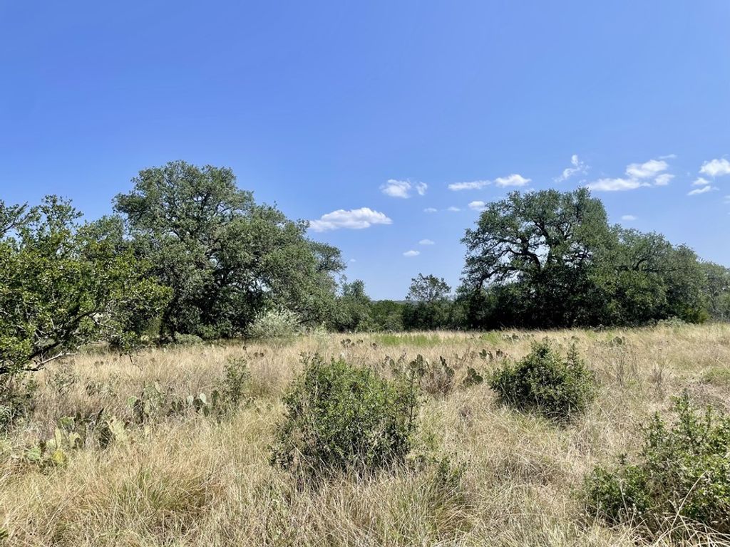 Lot 1 Legacy Ridge, Burnet