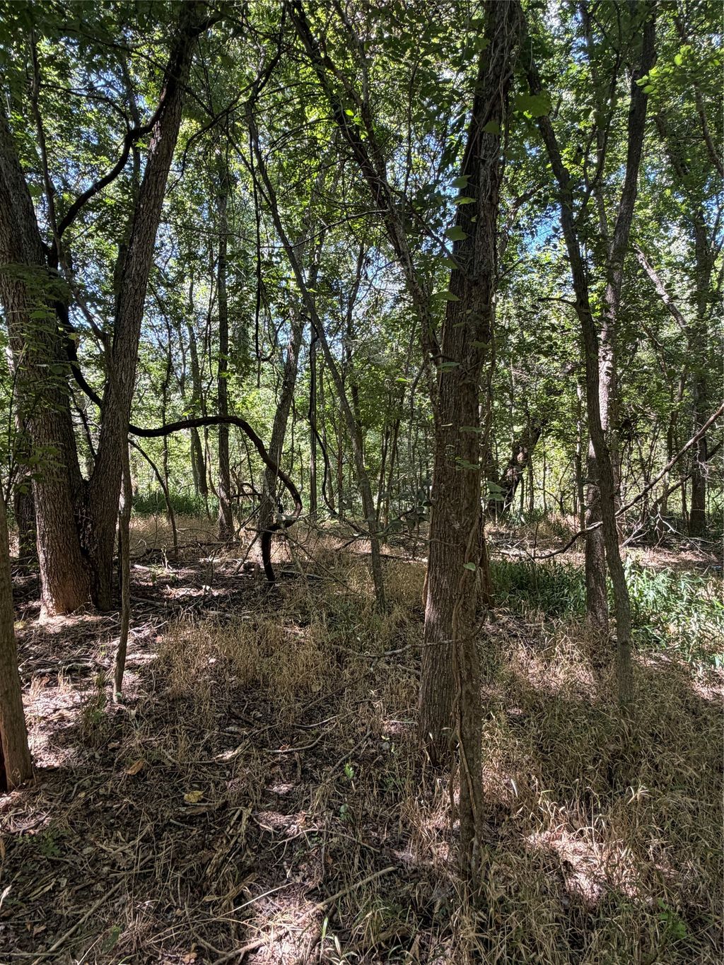 Lot 677 Kaukonahua Lane, Bastrop