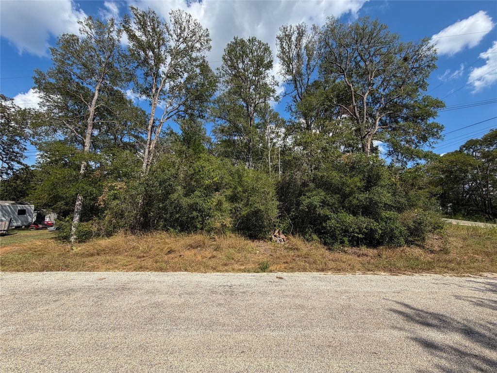 103 Nuupia Court, Bastrop
