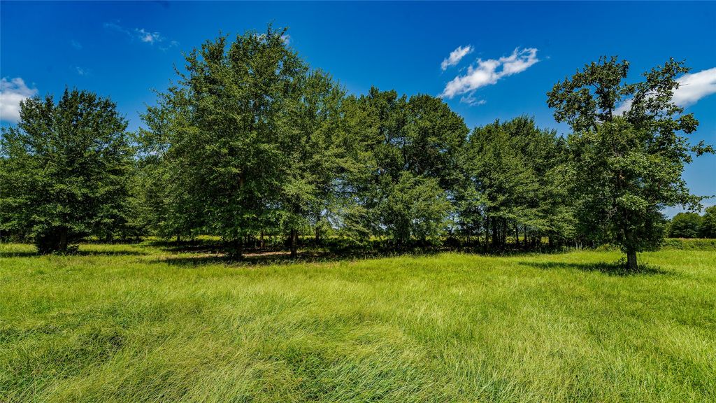 Tbd Cr 357, Gause
