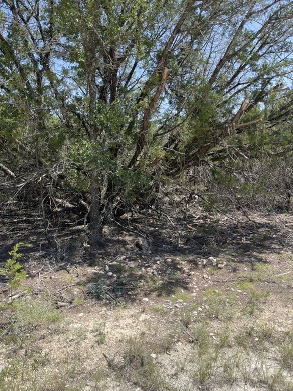 Tbd Cr 2644, Lometa