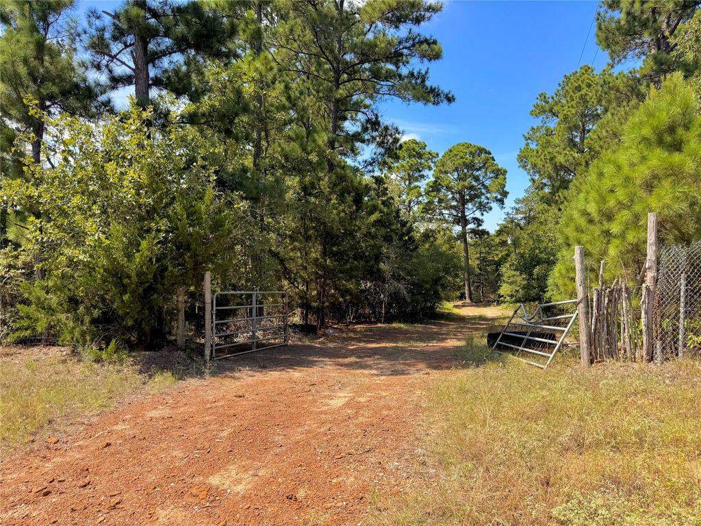 445 Pine Valley Loop, Smithville