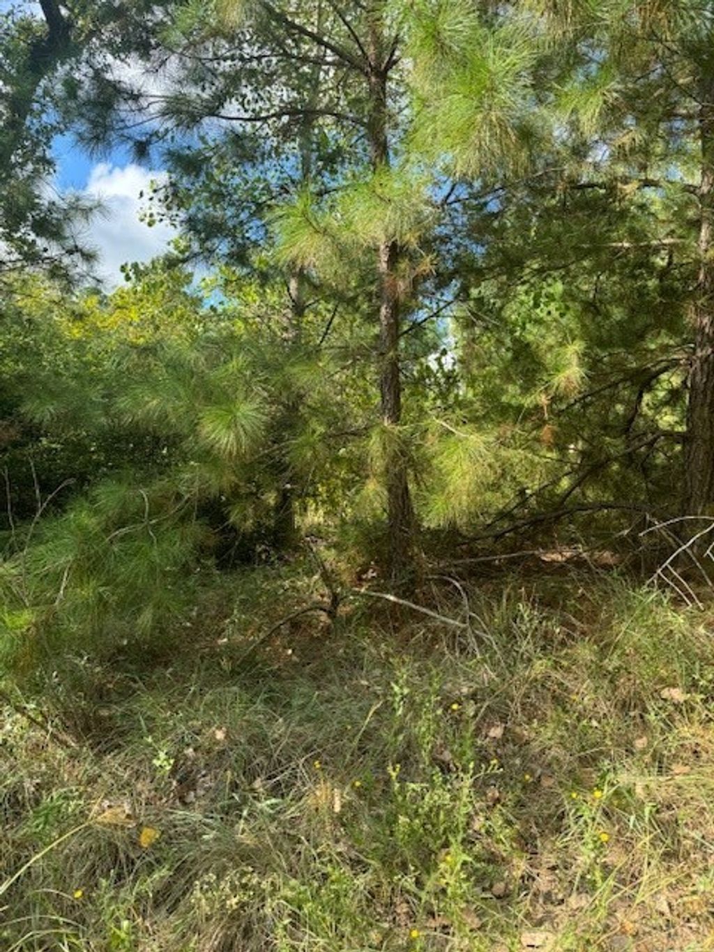 Lots 1338 And 1339 Tahitian Drive, Bastrop
