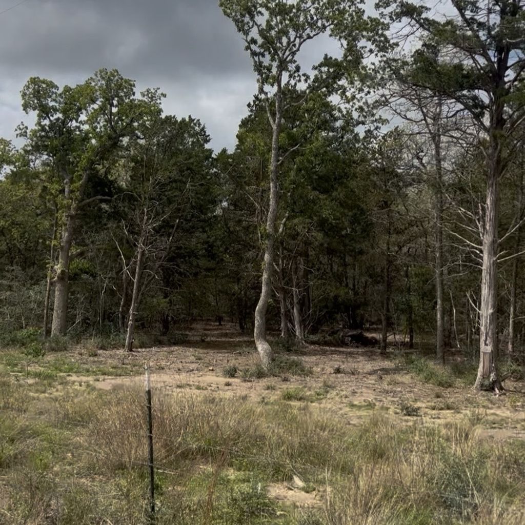 Lot 15 Antioch Road, Paige