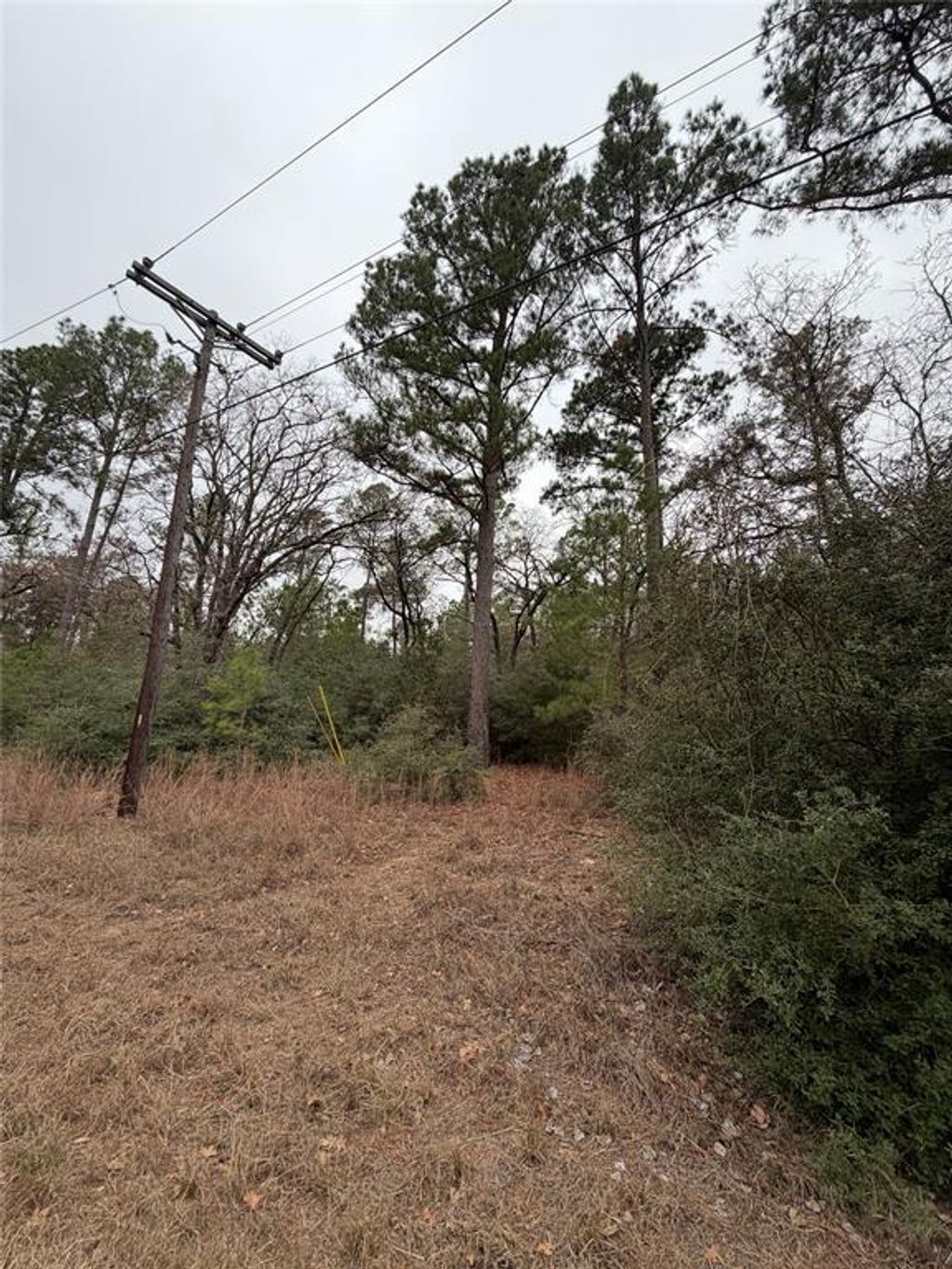 0000 Makaha Drive, Bastrop