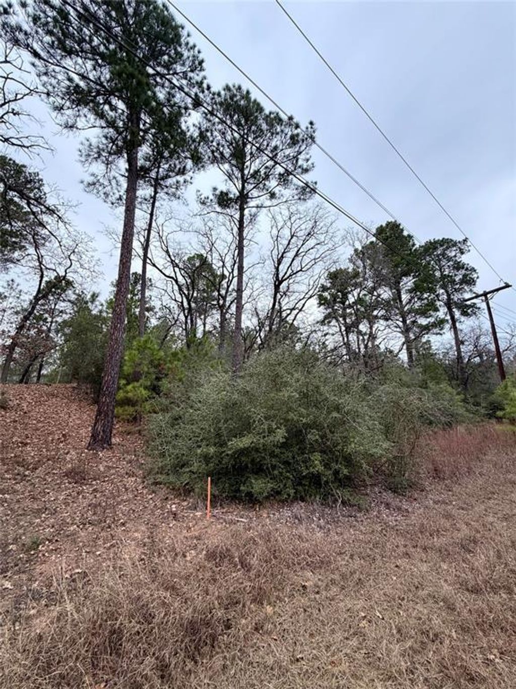 000 Makaha Drive, Bastrop