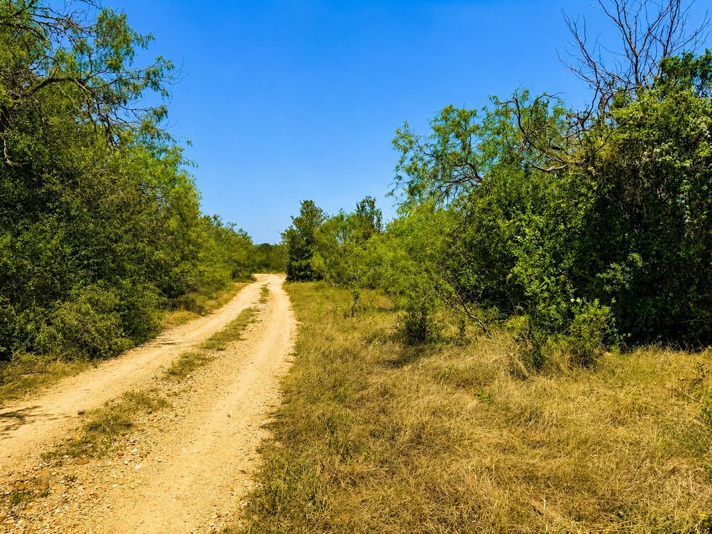 221 Fawn Ridge Road, Cedar Creek
