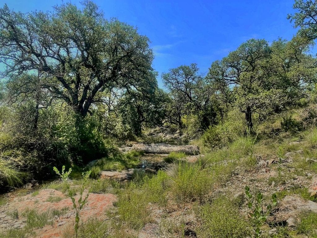 Lot 8 Legacy Ridge, Burnet