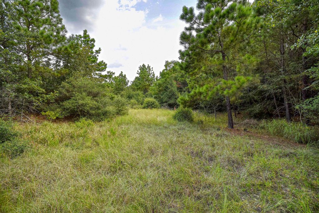 Tbd Kipahulu Drive 2, Bastrop