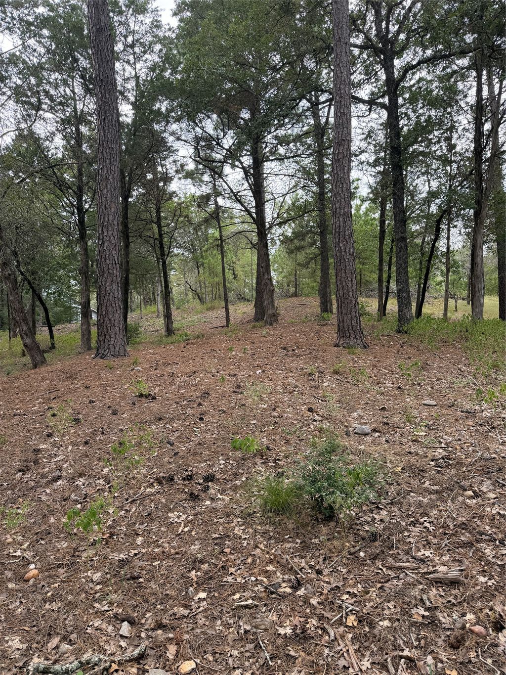 Lot 290 Aka Court, Bastrop