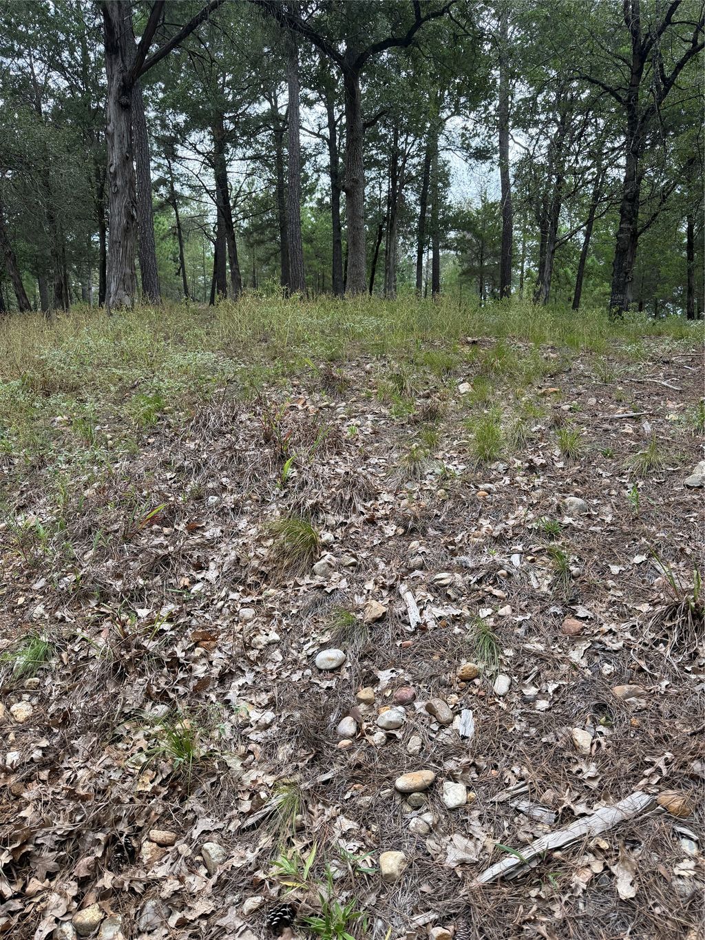 Lot 291 Aka Court, Bastrop