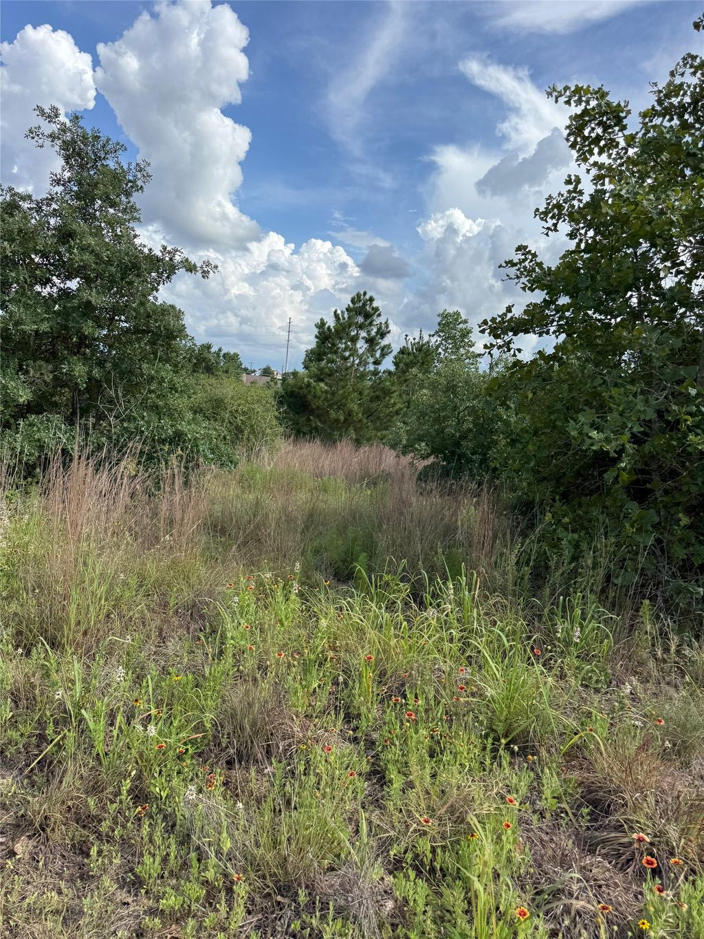 Lots 89-90 Pintail Lane, Bastrop