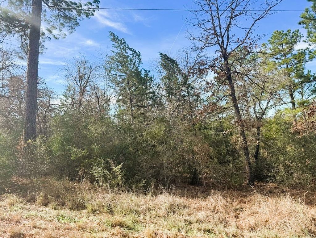 106 Olomana Court, Bastrop