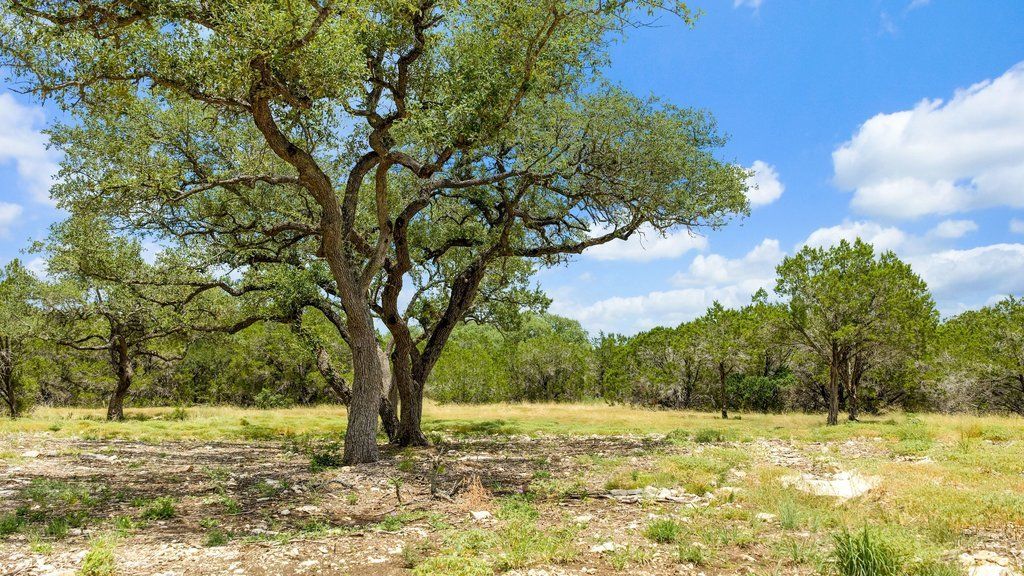 Tract 8 Cypress Cove Road, Spring Branch