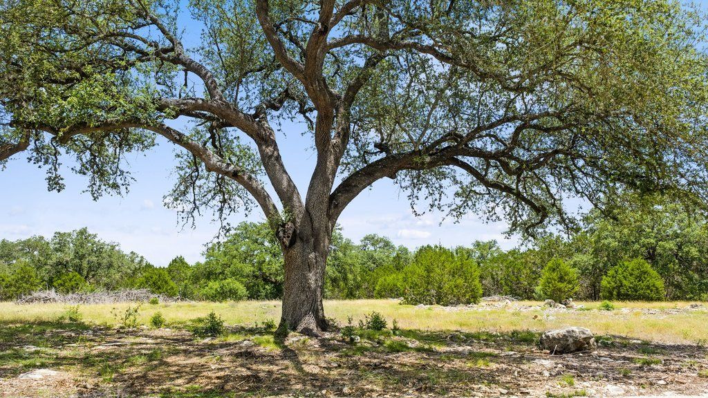 Tract 5 Cypress Cove Road, Spring Branch