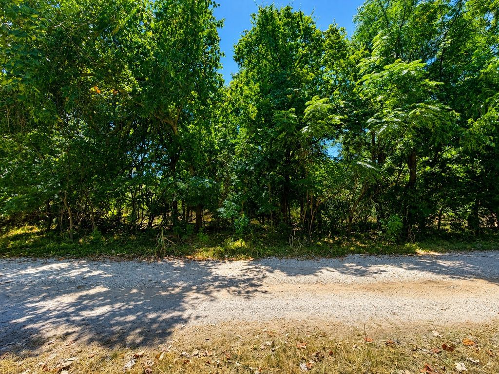 Tbd Buckner Lane, Burnet