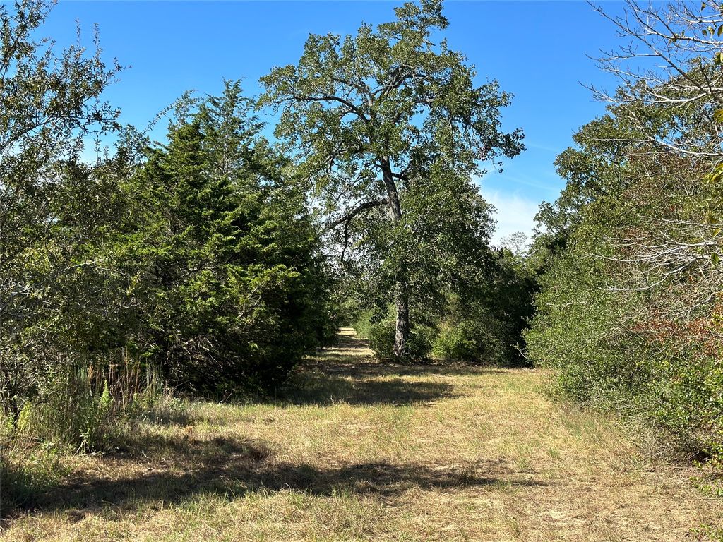 105 Colony Line Trail, Dale