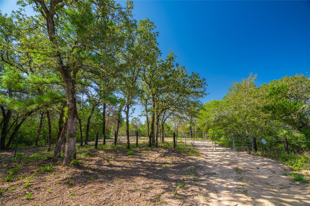 1247 Sand Hills Road, Rosanky