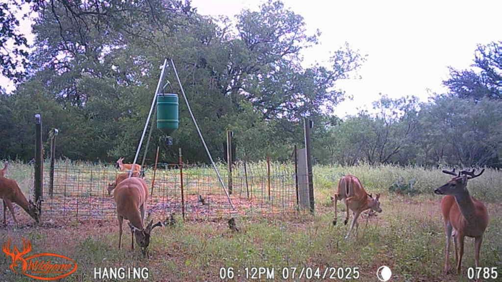 Tbd Fm 3023, Goldthwaite