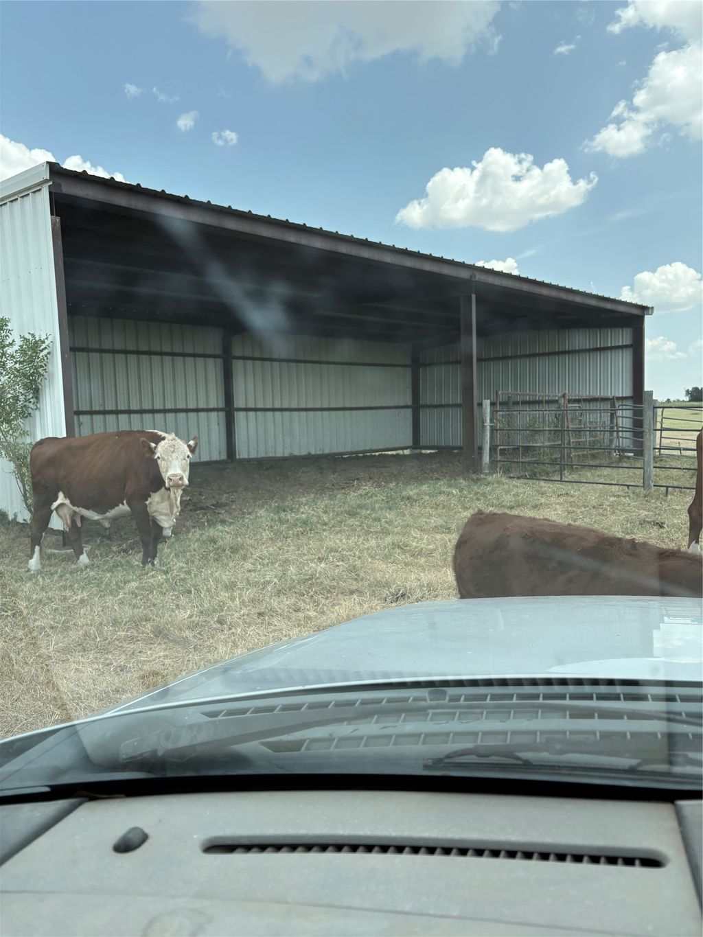 600 County Road 444 Land, Thorndale
