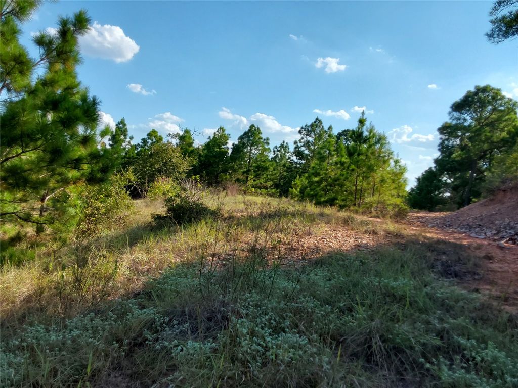 909 Hana Court Street, Bastrop