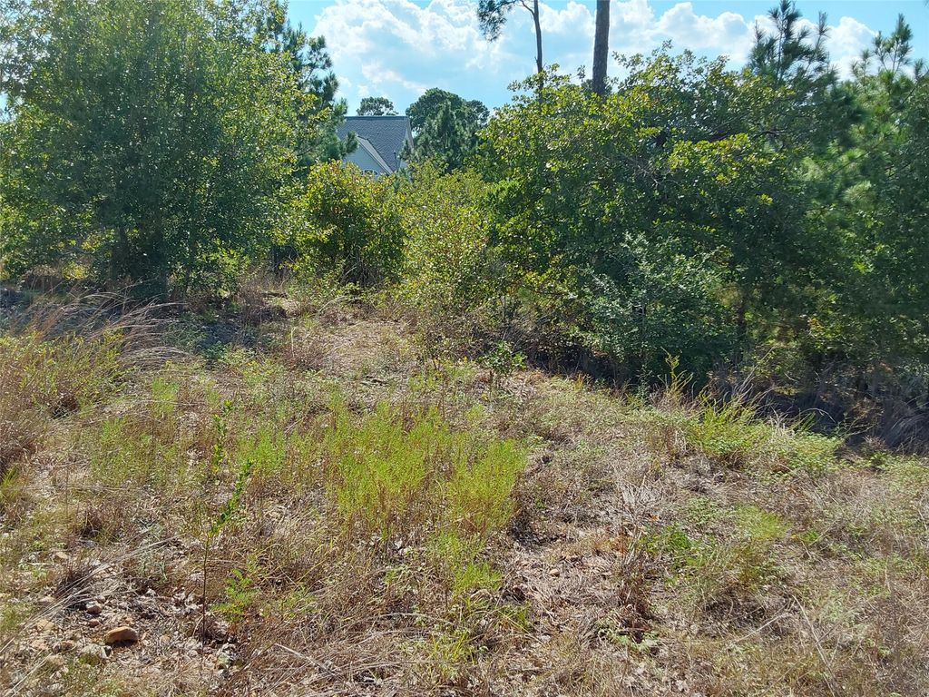 128 Mokalau Drive, Bastrop