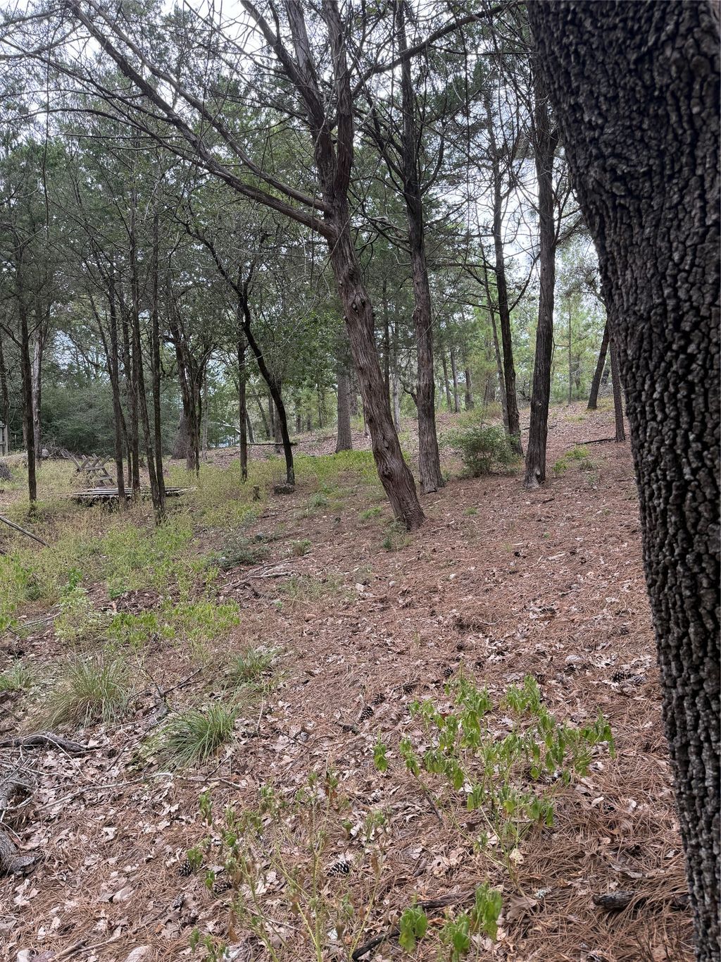 Multiple Lots Aka Court, Bastrop