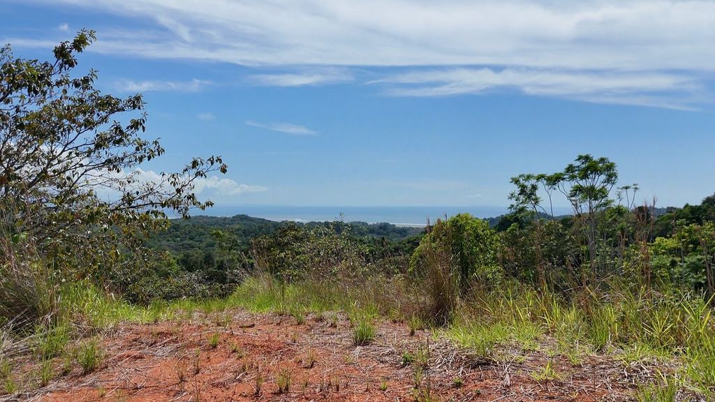 000000 Elevate Your Dreams – 3.70 Acres Of Paradise, Out of State